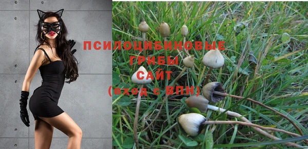 прущие грибы Алексеевка
