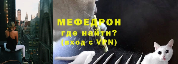 прущие грибы Ельня