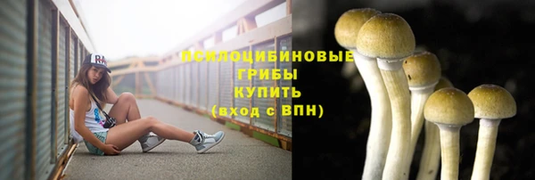 МДПВ Алексин