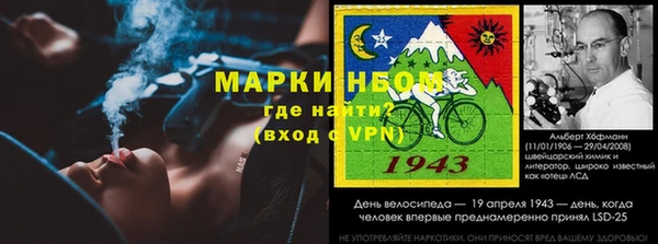 крисы Алзамай